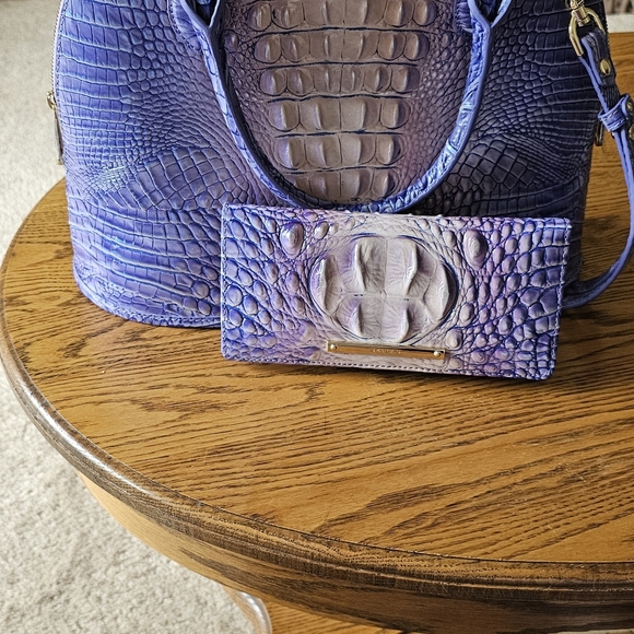 Brahmin Handbad with wallet - Picture 4 of 10